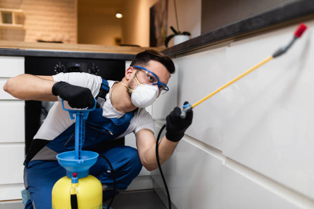 Trusted Morocco, IN Pest Control Experts