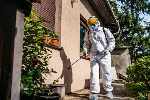 Best Best Pest Control Near Me  in Morocco, IN