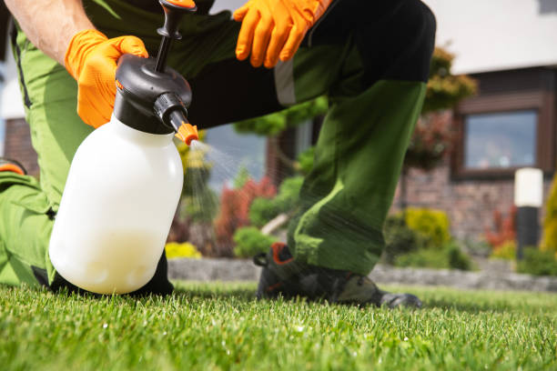 Best Mosquito Control Services  in Morocco, IN
