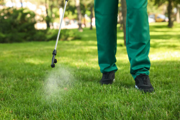 Best Termite Control Services  in Morocco, IN