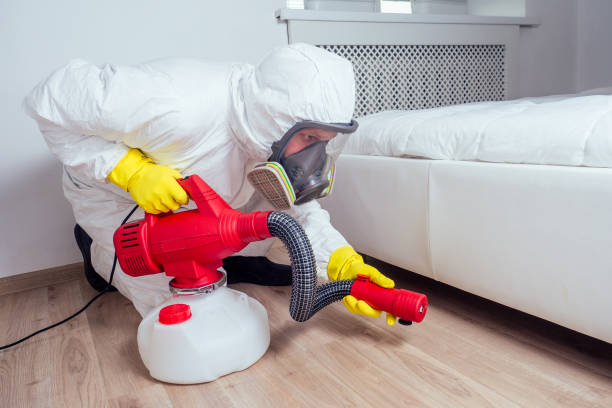 Best Local Pest Control Services  in Morocco, IN