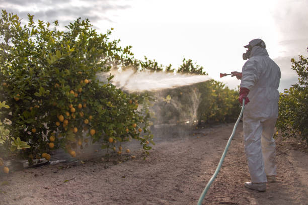 Best Pest Prevention Services  in Morocco, IN