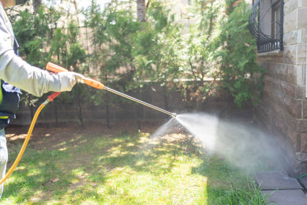 Best Cockroach Control Services  in Morocco, IN