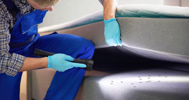Best Flea Control Services  in Morocco, IN