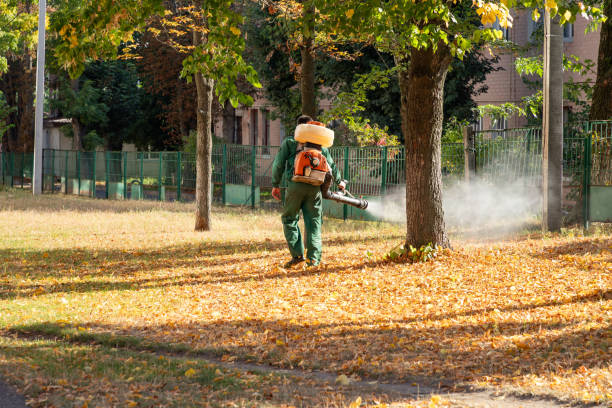 Best Exterminator Services  in Morocco, IN
