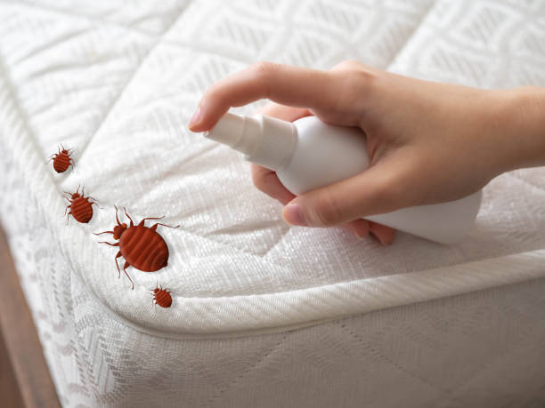 Best Pest Control Near Me in Morocco, IN